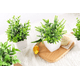 thumbnail image 3 of Plantas artificiales norplat 4 uds macetas, 3 of 3