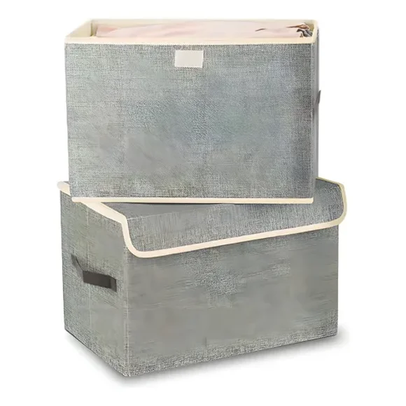 Cajas Organizadoras Homely Tapa Tela Impermeable 22l Set X2 Gris