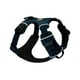 thumbnail image 2 of Arnés Ruffwear Front Range perro Blue Moon S 56-69 cm., 2 of 2
