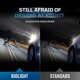 thumbnail image 4 of Bombilla de Faro BIOLIGHT KM H11 12V 55W 3200K Pack de 10, 4 of 7