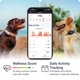 thumbnail image 4 of Rastreador GPS para perro PAJ GPS 4G en tiempo real, impermeable, 4 of 9