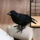 thumbnail image 1 of 1pc, Halloween Crow Feather Decoration - Perfect for Parties and Decorations, 1 of 4