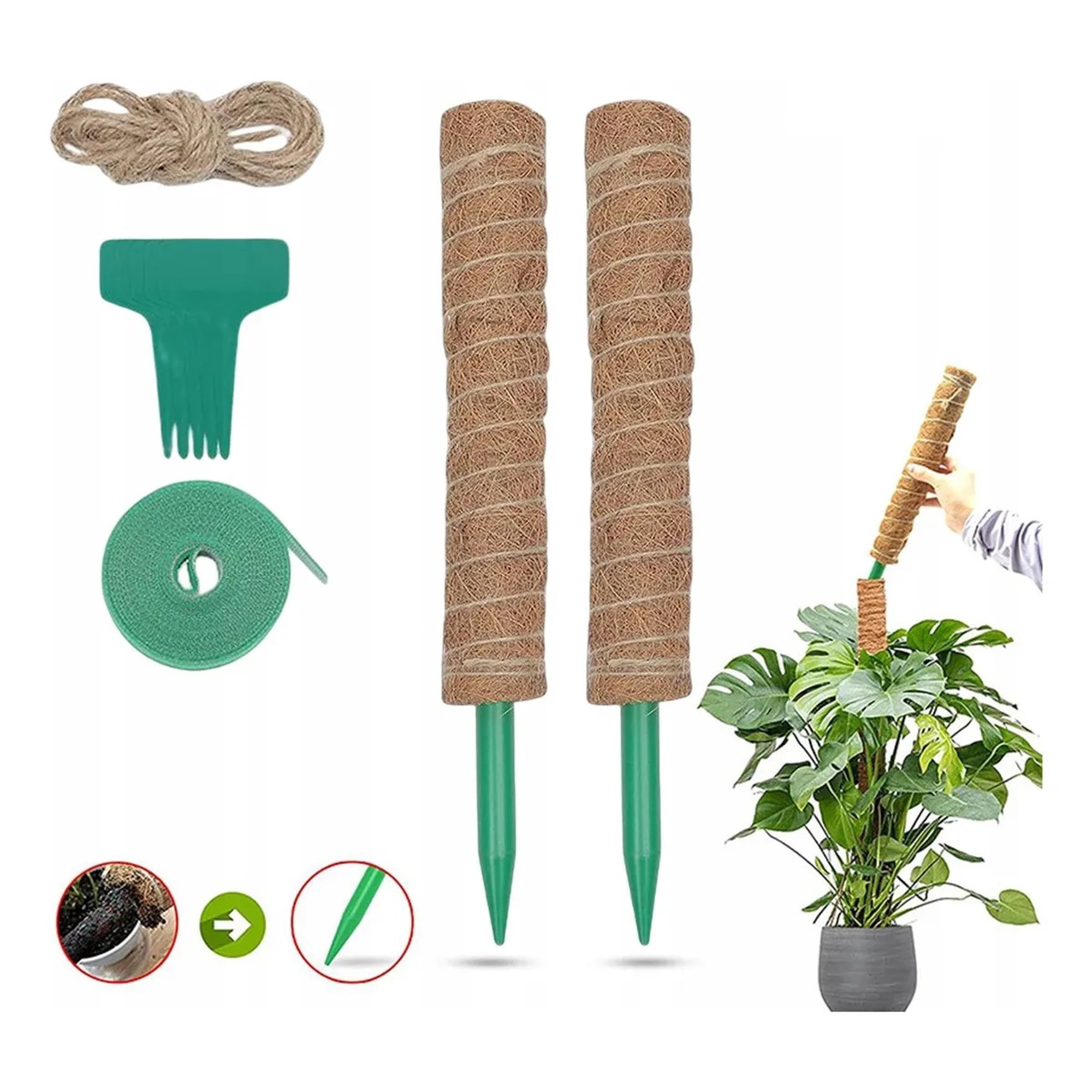 Genérica - Juego De 9 Tutor De Musgo Para Plantas 43 Cm