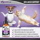 thumbnail image 4 of Apoyo Suprarrenal Para Perros Gatos Cachorros Y Gatitos Fabricado En Ee Uu Suplemento De Apoyo, 4 of 9