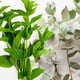 thumbnail image 2 of Aceite de Fragancia Virginia Candle Supply 237 ml Menta Verde y Eucalipto, 2 of 9