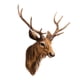 thumbnail image 5 of Montaje En Pared Cabeza De Ciervo Cabeza De Ciervo Cabeza De Animal Ciervo Marrón Buck Placa De Cabeza Falsa, 5 of 5