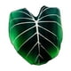 thumbnail image 3 of Manta con Forma de Hoja Verde 130cmx150cm, 3 of 3