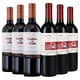thumbnail image 1 of 6 Vinos Mix Tintos Clásicos, 750 ml, 1 of 3