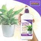 thumbnail image 5 of Brillo para hojas Bonide 354 ml Spray protector de humedad, 5 of 6
