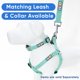 thumbnail image 5 of Arnés para perro Pawtitas S reflectante ajustable color teal, 5 of 8