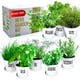 thumbnail image 1 of Kit de huerto de hierbas ZESTIGREENS con 8 hierbas culinarias y macetas, 1 of 8