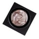 thumbnail image 1 of Yeso Gel Nail Art Pintura Dibujo Polaco 3D Metálico Nail Art Gel Polaco Champán, 1 of 5