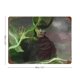 thumbnail image 2 of Loki Cartel Metálico, Decoración de Pared de Cartel Metálico Personalizado para Regalos de Fans, Amigos, Familia y Amantes 20*30CM, 2 of 6
