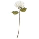 thumbnail image 1 of Hortensia blanca Vickerman con tallo artificial de 32,5 cm (paquete de 3), 1 of 2