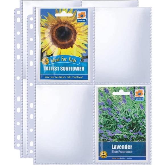 240 fundas para sobres de semillas de 3,5 x 5 pulgadas, paquete de 30, doble cara