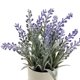 thumbnail image 2 of Planta Artificial Lavanda Mainstays 8.5 in 21.6 cm con Maceta, 2 of 3