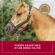 thumbnail image 2 of Cabestro Para Caballo Weaver Leather De Nylon Acolchado Y Ajustable, 2 of 5