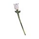 thumbnail image 4 of Flor De Vidrio Coleccionable, Arte Artesanal, Flor Artificial Para Su Aniversario, Mamá, 7,5 X 1,2 Cm, Rosa Y Blanco, 4 of 5