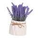 thumbnail image 3 of Juego De Jarrón Artificial Para El Hogar Con Planta En Maceta De Lavanda Para Comedor, Hotel, Cocina, Estilo B, 3 of 5