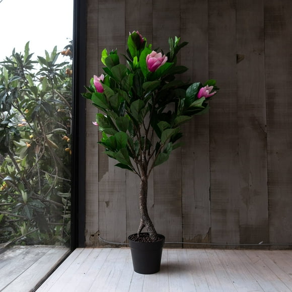 Arbol de Magnolio rosado de 125 cm