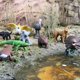thumbnail image 2 of Figuras de juguete Safari Ltd. Land Down Under TOOB 11 Animals 3+, 2 of 7