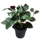 thumbnail image 2 of Planta artificial 9x24cm, 2 of 9