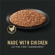 thumbnail image 2 of Comida Húmeda Purina Pro Plan Cachorro Pollo 0.37 kg DHA, 2 of 3