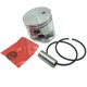 thumbnail image 1 of Kit De Pistón De Meteorito De Piezas De Motosierra Para STIHL MS211, MS211C-BE/Z/C-BE Z, 1 of 5