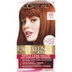 thumbnail image 1 of Tinte de pelo L'Oreal Paris Excellence Creme 6R Castaño claro, 1 of 3