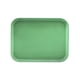 thumbnail image 1 of Bandeja De Fibra De Vidrio 35x45cm Verde Pistacho, 1 of 5