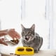 thumbnail image 5 of Cuenco de agua y comida para mascotas con plato doble, cuenco de agua y comida para gatos y perros, 5 of 5