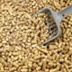thumbnail image 3 of Pellets de Arena para Gatos de Madera de Pino Natural No Aglomerante Casual Home, 3 of 9