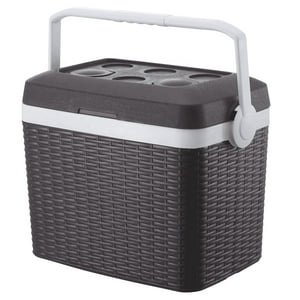 Genérico - Cooler Hielera Portatil Pequeña 30L
