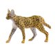 thumbnail image 4 of Figura De Gato Africano Juguetes Educativos En Miniatura Para Regalo De Cumpleaños De Fiesta, 4 of 5
