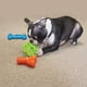 thumbnail image 2 of Kong Quest Star Pod Juguete Rellenable Limpia Diente Talla L naranja, 2 of 5