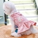 thumbnail image 4 of Vestido Con Arnés Para Perro Con Anilla En D, Parche De Conejo, Encaje, Princesa, Falda Para Cachorro, Otoño E Invierno, Pana Gruesa, Ropa Para Mascotas, Vestidos Para Perros Pequeños, Atuendo Para Ni, 4 of 8