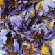 thumbnail image 3 of Flores de loto secas CoolCrafts azules naturales 28 g, 3 of 3
