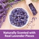 thumbnail image 2 of Ropa de cama Kaytee Clean & Cozy Lavender de 49,2 litros para mascotas pequeñas, 2 of 7