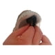 thumbnail image 5 of Parche Reparador para Punta y Talón de Zapatillas Heng Happy 2 Pares, 5 of 8
