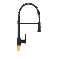 Genérico - Monomando Lavaplatos Flexible Profesional Negro