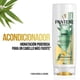 thumbnail image 3 of Shampoo Pantene y Acondicionador Bambú Nutre & Crece, 800 ml, 3 of 6