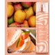 thumbnail image 4 of Spray corporal Forever 21 Mango Gelato 240 ml, 4 of 5