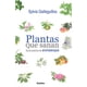 thumbnail image 1 of LIBRO Plantas que sanan, 1 of 2