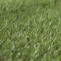 Signet - Pasto Sintetico 20Mm 2X10 Metros