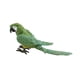 thumbnail image 3 of Adornos Realistas De Pájaros Loros Artificiales Lindos Para Interior Al Aire Libre Porche Hogar Verde, 3 of 5