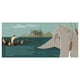 thumbnail image 5 of El niño y la ballena blanco, 5 of 5