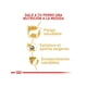 thumbnail image 3 of Royal Canin Yorkshire Adulto 1 Kg, 3 of 5
