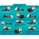 thumbnail image 4 of Set de 12 carpetas de archivadores Barker Creek Designer Sea & Sky, 4 of 8