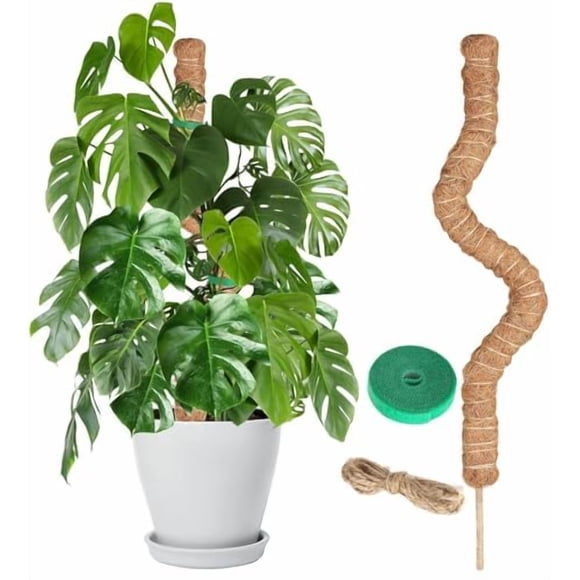 Moss Pole Craft911 - Soporte flexible para plantas (122 cm)