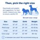 thumbnail image 5 of Arnés para perros PetSafe Easy Walk, sin tirones, tamaño medio/grande, morado, 5 of 6